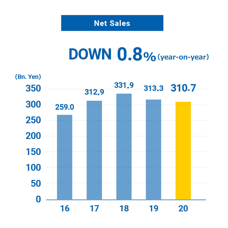 Net Sales