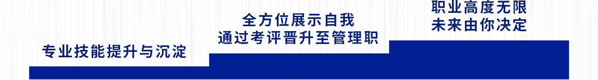 第二阶段 专业技能提升与沉淀