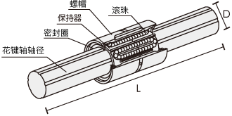 花键的构造和动作