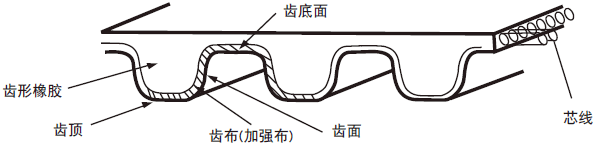 同步带由齿形齿布齿底面芯线加强布等部分组成