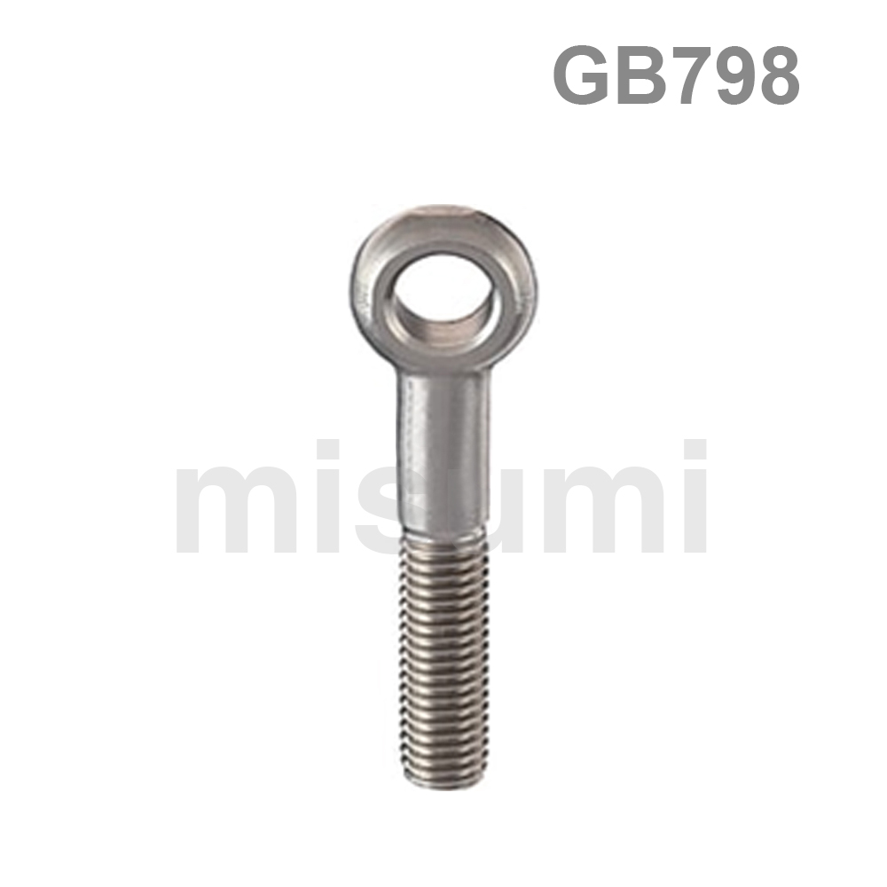 Economy Hinge Bolts GB/T798 Stainless Steel (Boxed)