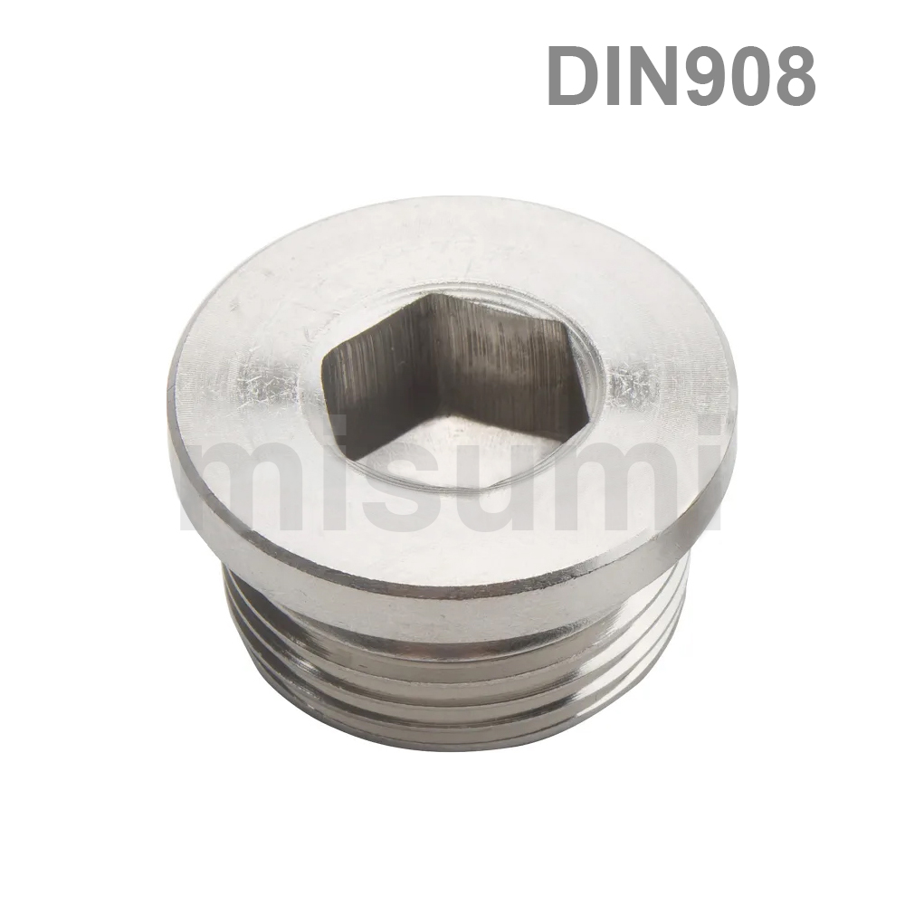 经济型 螺塞 内六角喉塞 不锈钢 DIN908 (盒装)