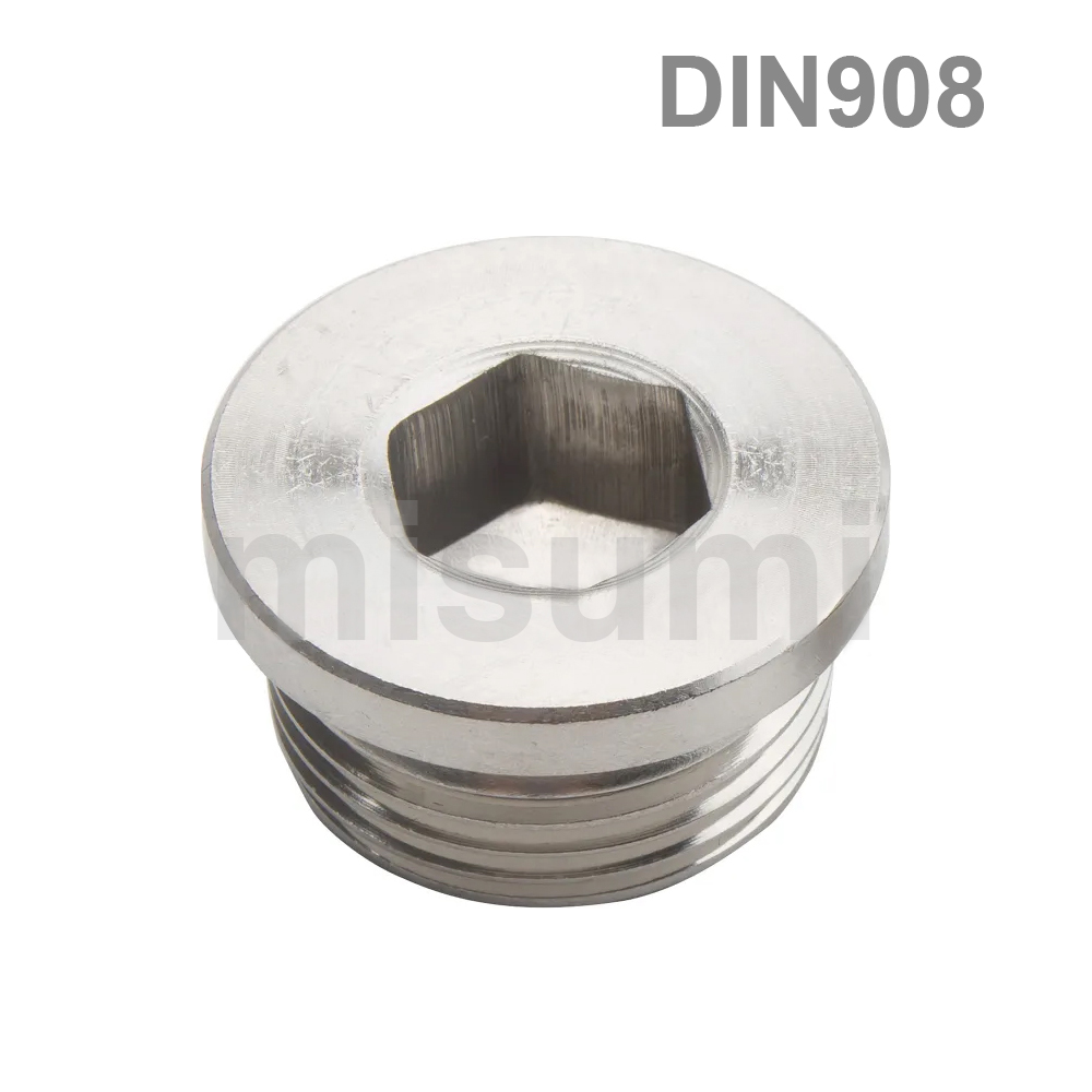 Internal Hex Pipe Plug G/Parallel Thread Stainless Steel DIN908 (Boxed)
