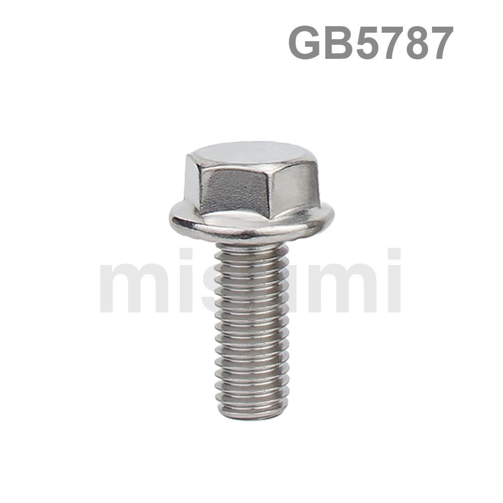 Economy Hex Flange Bolts Stainless Steel GB5787 (Boxed)