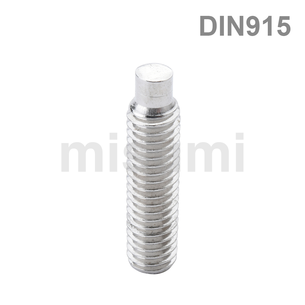 Economy Hex Protruding Set Screws Stainless Steel DIN915 (Boxed)