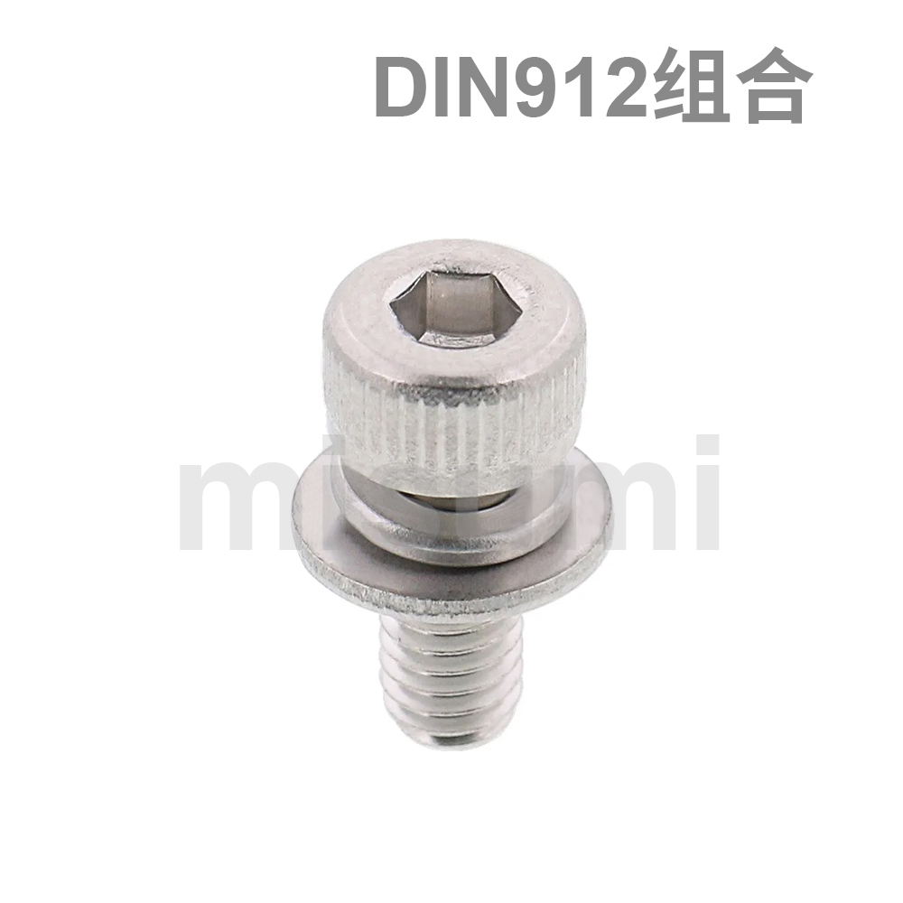 Economy Hex Bolts with Spring/Washers Stainless Steel DIN912 (Boxed)