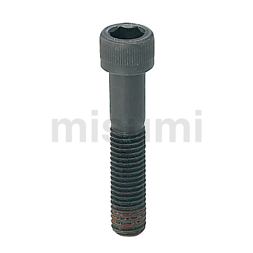 Hexagon Socket Head Cap Screws with Loosening Prevention treatment