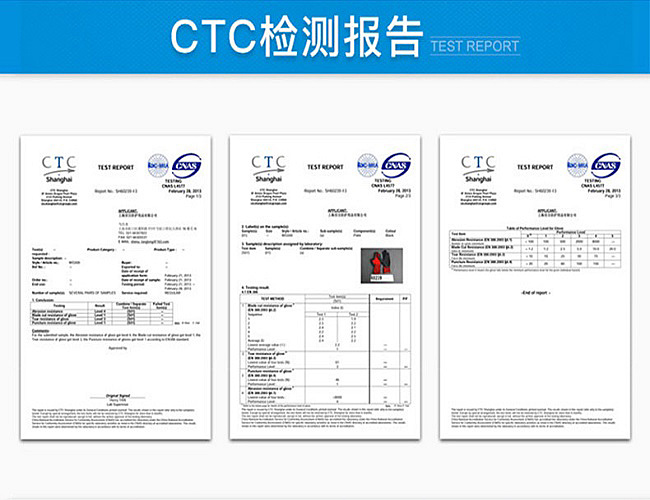CTC检测报告