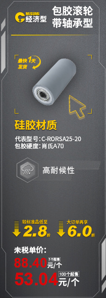 包胶滚轮 带轴承型 C-RORSA25-20