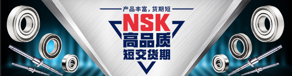 NSK恩斯克