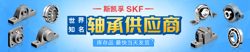 世界知名轴承供应商SKF斯凯孚。