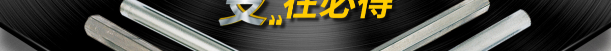 经济支柱