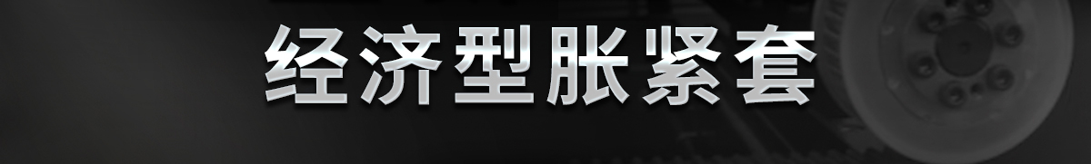 全新上线 经济型胀紧套 牢固固定 拆装便捷 无需键槽 自由对位