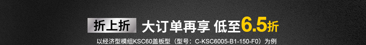 经济型模组