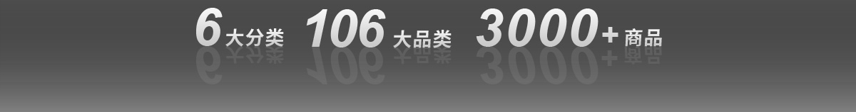 6大分类 106大品类 3000以上商品