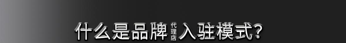 什么是品牌代理店入驻模式