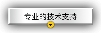 专业的技术支持