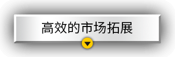 高效的市场拓展