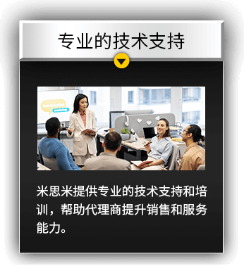 专业的技术支持