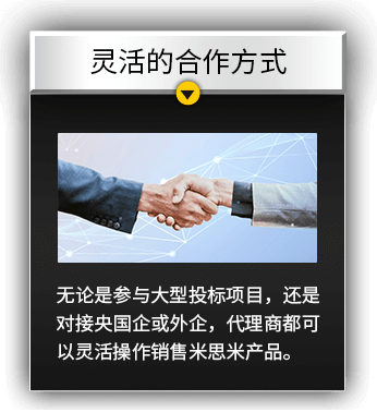 灵活的合作方式