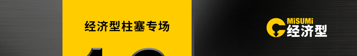 经济型柱塞专场