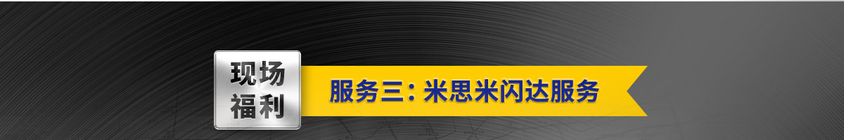 采购福利服务三:米思米闪达服务
