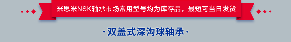 双盖式深沟球轴承